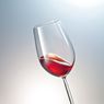 Набор бокалов для красного вина 600 мл, 6 штук, Diva, серия Diva, 110 238-6, SCHOTT ZWIESEL, Германия